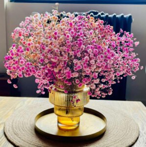 Ce set de table est en corde naturelle. Il embellit votre table.